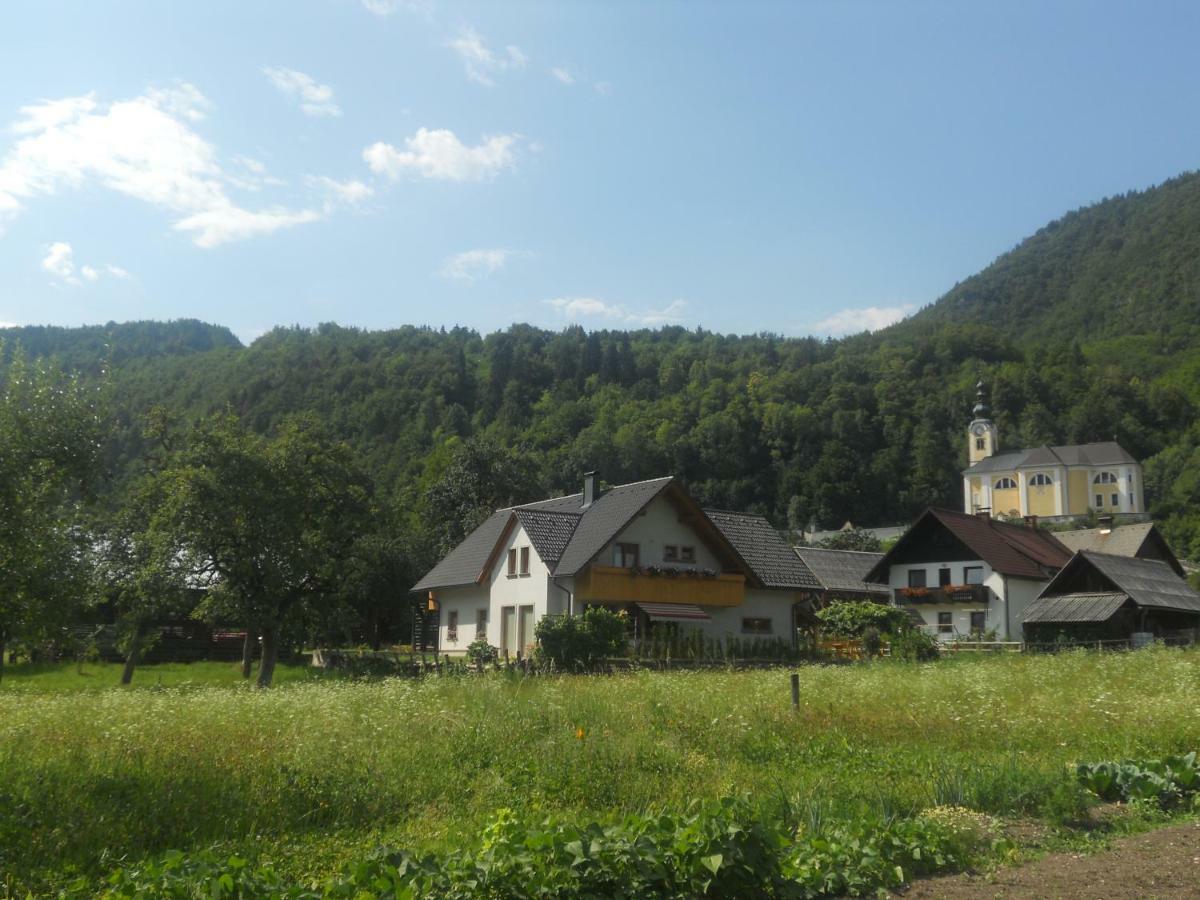 Apartmaji Bremec 博希尼 外观 照片